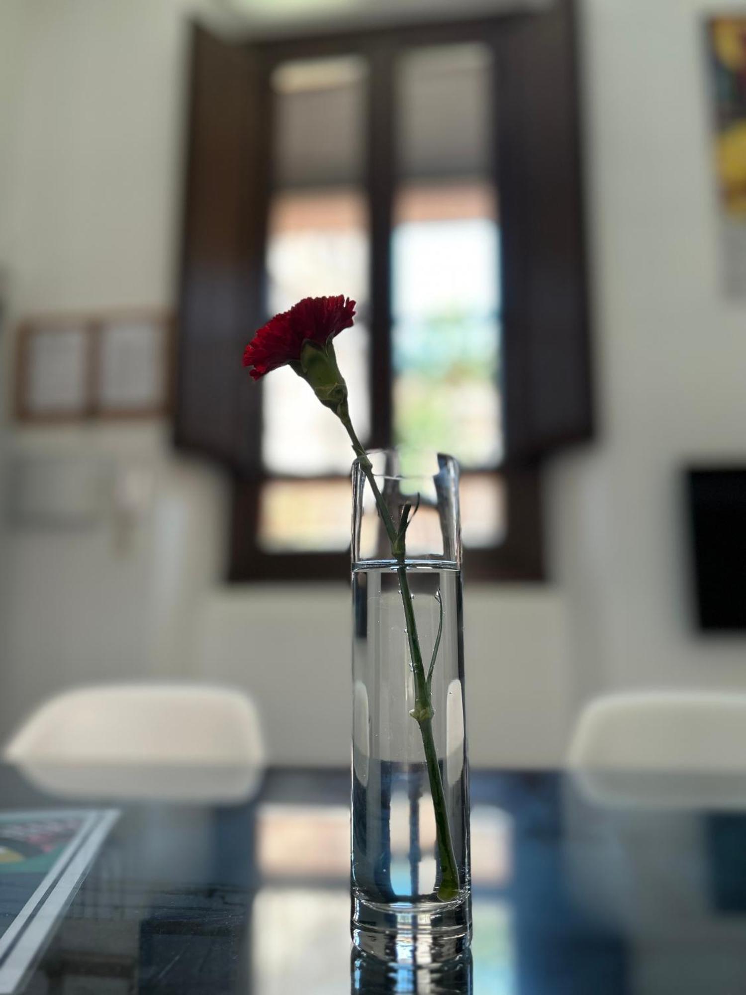 Romanilla Loft Granada Bagian luar foto
